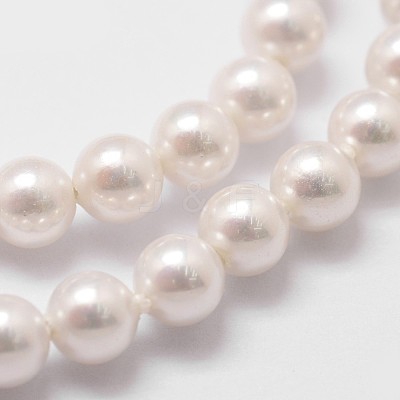 Shell Pearl Beads Strands X-BSHE-L025-01-6mm-1