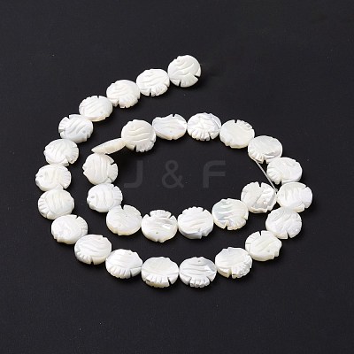 Natural Trochid Shell Beads Strands SSHEL-G023-16B-1