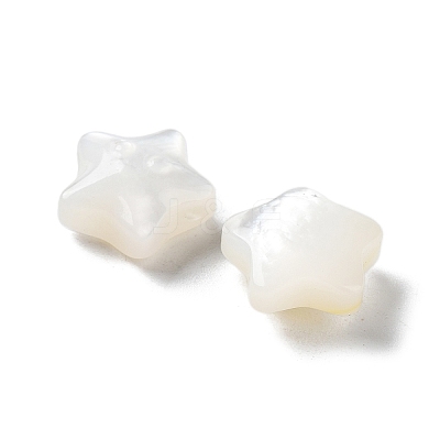 Natural White Shell Beads SHEL-M020-02A-1