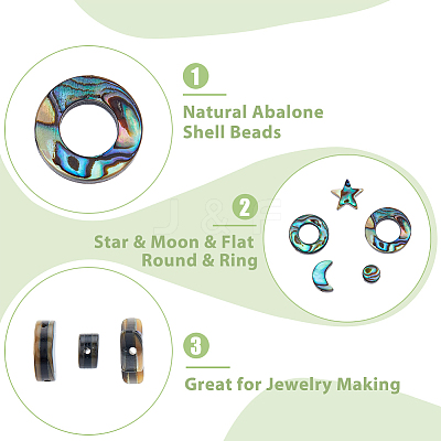 12Pcs 6 Styles Natural Abalone Shell/Paua Shell Beads SSHEL-DC0001-01-1