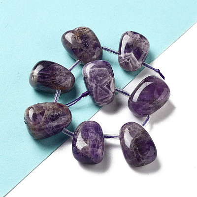 Natural Amethyst Beads Strands G-P528-E06-01-1