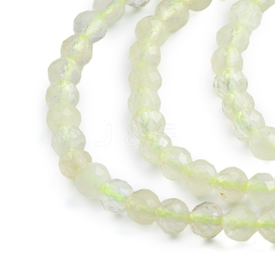 Natural Lemon Quartz(Heated) Beads Strands G-K366-B01-02-1