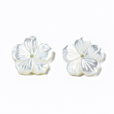 Natural White Shell Mother of Pearl Shell Beads SSHEL-T014-42A-1