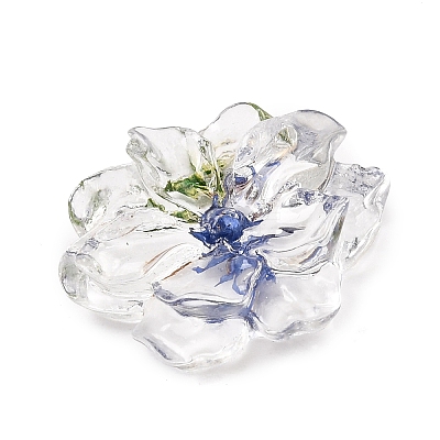 Transparent Resin Cabochons RE-CBA7537-01B-1