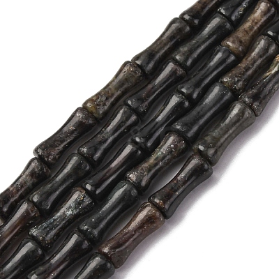 Natural Biotite Beads Strands G-L624-G09-12x5mm-1