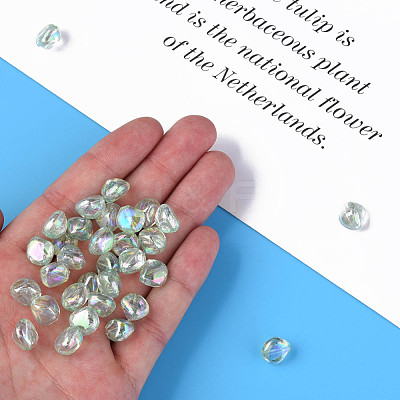 Transparent Acrylic Beads MACR-S373-131-C10-1