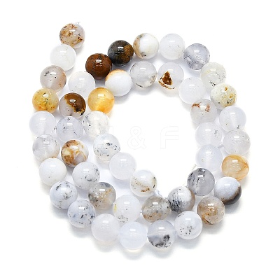 Natural White African Opal Beads Strands G-K245-A18-04-1