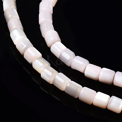 Natural Trochid Shell/Trochus Shell Bead Strands SSHEL-N034-77-C05-1
