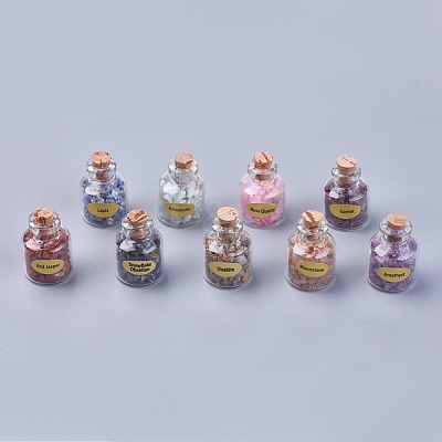 Bottles of Natural Gemstone Chip Beads G-S049-2-B-1