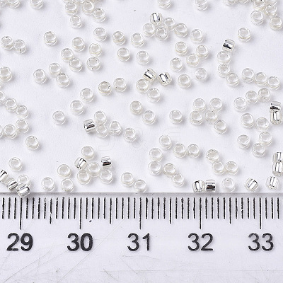 Glass Seed Beads X1-SEED-S042-04A-06-1