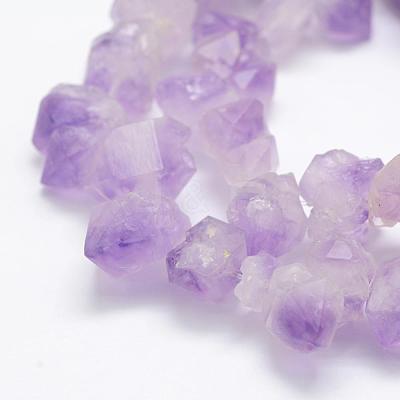 Natural Amethyst Beads Strands G-P322-09-1
