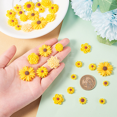 Resin Cabochons CRES-CJC0005-01B-1