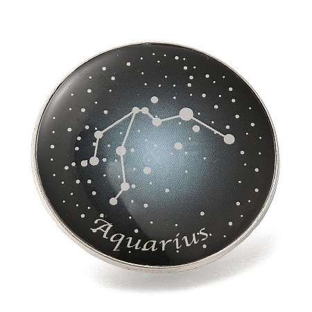 Twelve Constellation Creative Alloy Badges Constellation Brooches LS-JEWB-S033-01P-K-1
