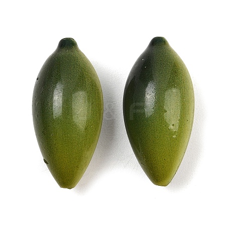 Fruit Series Opaque Resin Beads RE-CBAC4C7-11F-1
