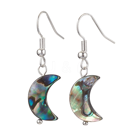 Natural Abalone Shell/Paua Shell Dangle Earring EJEW-JE05916-02-1