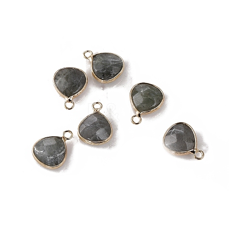 Natural Labradorite Pendants PW-WG413D9-07-1