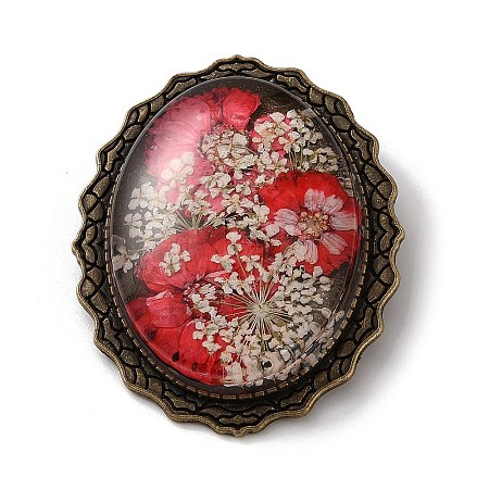 Retro Style Alloy Lapel Pins for Backpack Clothes JEWB-B034-01AB-01-1