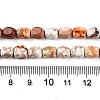 Natural Imperial Jasper Beads Strands X-G-N342-62K-5