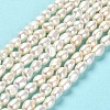 Natural Cultured Freshwater Pearl Beads Strands PEAR-E016-063-2