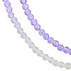 Transparent Glass Beads Strands GLAA-N041-010-12-4