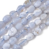Natural Blue Lace Agate Beads Strands G-E483-62A-1
