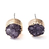 Flat Round Natural Druzy Agate Stud Earrings EJEW-L168-05B-1