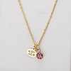 304 Stainless Steel Amethyst Rhinestone Birth Stone Constellation Pendant Necklaces FS-WG76580-06-1