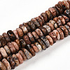 Natural Brecciated Jasper Beads Strands G-T141-28-4