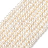 Natural Cultured Freshwater Pearl Beads Strands PEAR-C004-18B-2