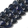 Natural Lapis Lazuli Beads Strands G-P544-E10-01-1