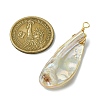 Electroplated Natural Freshwater Shell Pendants PALLOY-JF03336-2