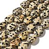 Natural Dalmatian Jasper Beads Strands G-I377-A15-2