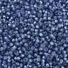 MIYUKI Round Rocailles Beads SEED-X0054-RR0648-3