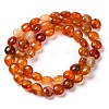 Natural Red Agate Beads Strands G-T047-A02-01-3