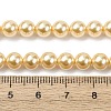 Electroplated Shell Pearl Beads Strands BSHE-G041-6mm-01-4