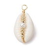Natural Cowrie Shell Copper Wire Wrapped Pendants X-PALLOY-JF02277-03-1