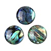 Natural Paua Shell Cabochons SSHEL-I026-20B-1