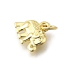 Brass Pendants KK-F899-10G-2