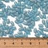 Transparent Colours Glass Seed Beads SEED-F006-03A-11-4