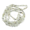 Natural Prehnite Beads Strands G-G0003-B12-3