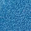 MIYUKI Round Rocailles Beads SEED-G008-RR0573-3