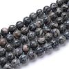 Natural Black Silk Stone/Netstone Bead Strands G-R412-23-10mm-1