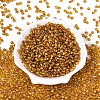 Picasso Baking Paint Glass Seed Beads SEED-N007-35C-2