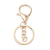 Alloy Keychain Clasps X-FIND-C084-10KCG-1
