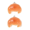 Opaque Resin Imitation Food Pendants RESI-Q232-08C-1