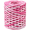 Segment Dyed Raffia Paper Cords for DIY Craft OCOR-WH20020-27A-7