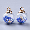 Transparent Glass Globe Pendants GLAA-S181-06D-2