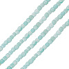 1 Strand Natural Freshwater Shell Dyed Beads Strands SHEL-TA0001-44A-2