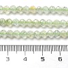 Natural Prehnite Beads Strands G-G161-A13-03-5