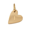 304 Stainless Steel Charms STAS-L291-01G-J-2